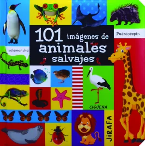 101 IMAGENES DE ANIMALES SALVAJES
