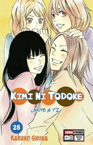 KIMI NI TODOKE N28