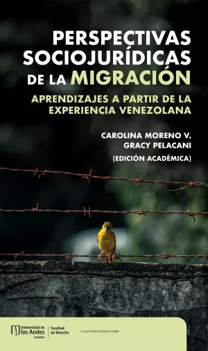 Perspectivas sociojurídicas de la migración