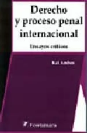 DERECHO Y PROCESO PENAL INTERNACIONAL. ENSAYOS CRÍTICOS