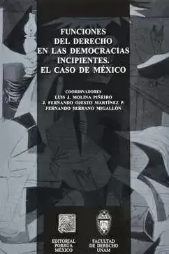 FUNCIONES DEL DERECHO EN LAS DEMOCRACIAS INCIPIENTES