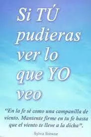 SI TU PUDIERAS VER LO QUE YO VEO