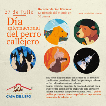27 de Julio: Día del perro callejero